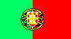 Portuguese Flag