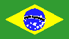 Brazilian Flag